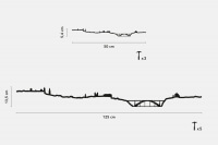 PORTO METAL NOIR (50cm)