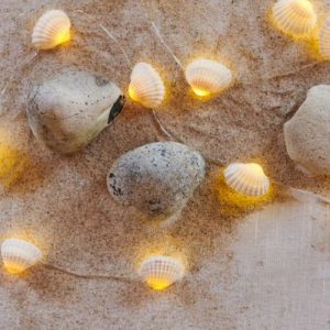 GUIRLANDE LED COQUILLAGE